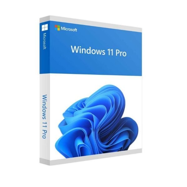 Windows 11