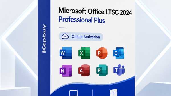 Office LTSC 2024 Professional Plus key digital license